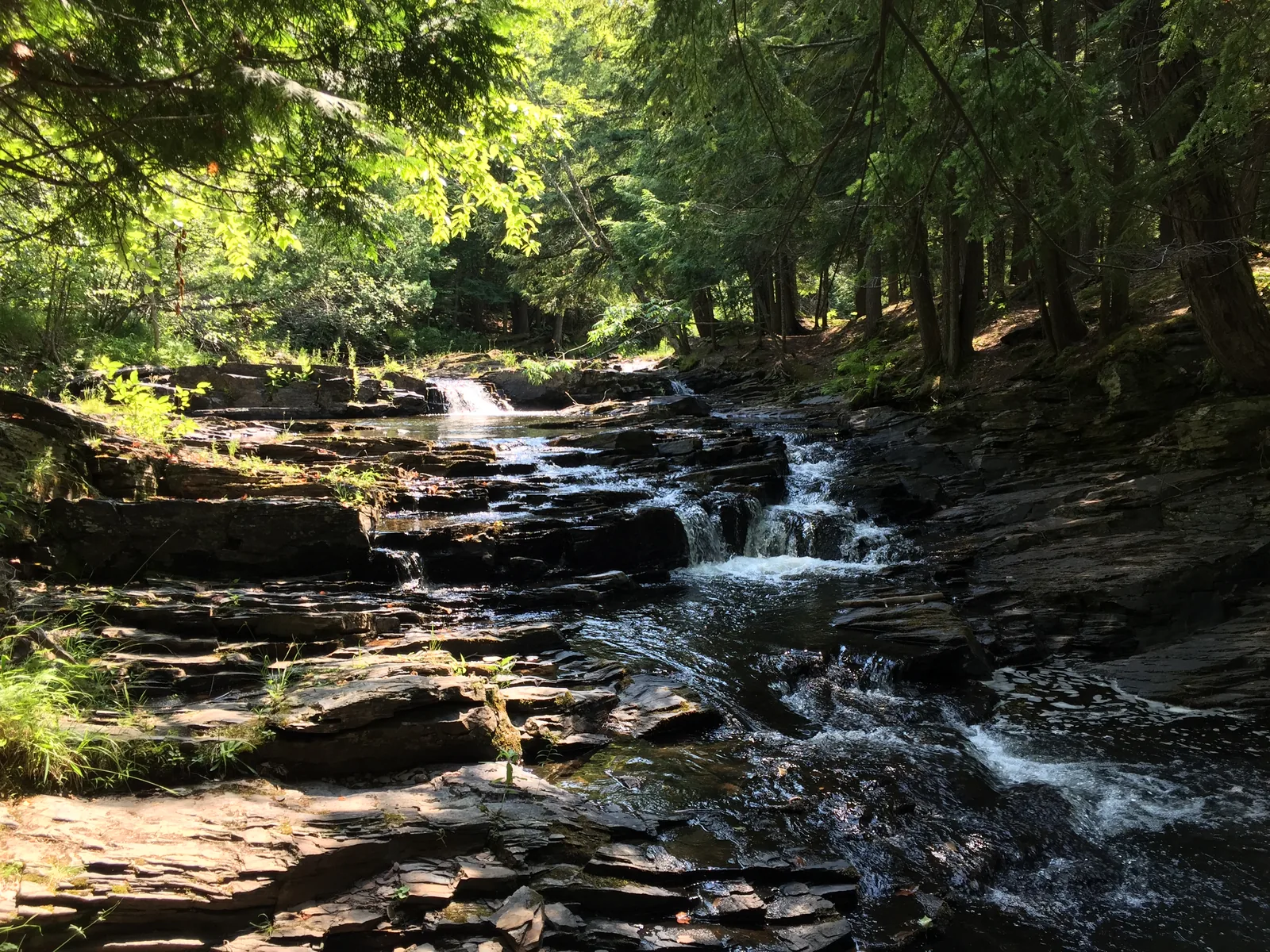 Black Slate Falls flowing in steps over dark slate ledges through a shaded cedar forest on the Slate River.