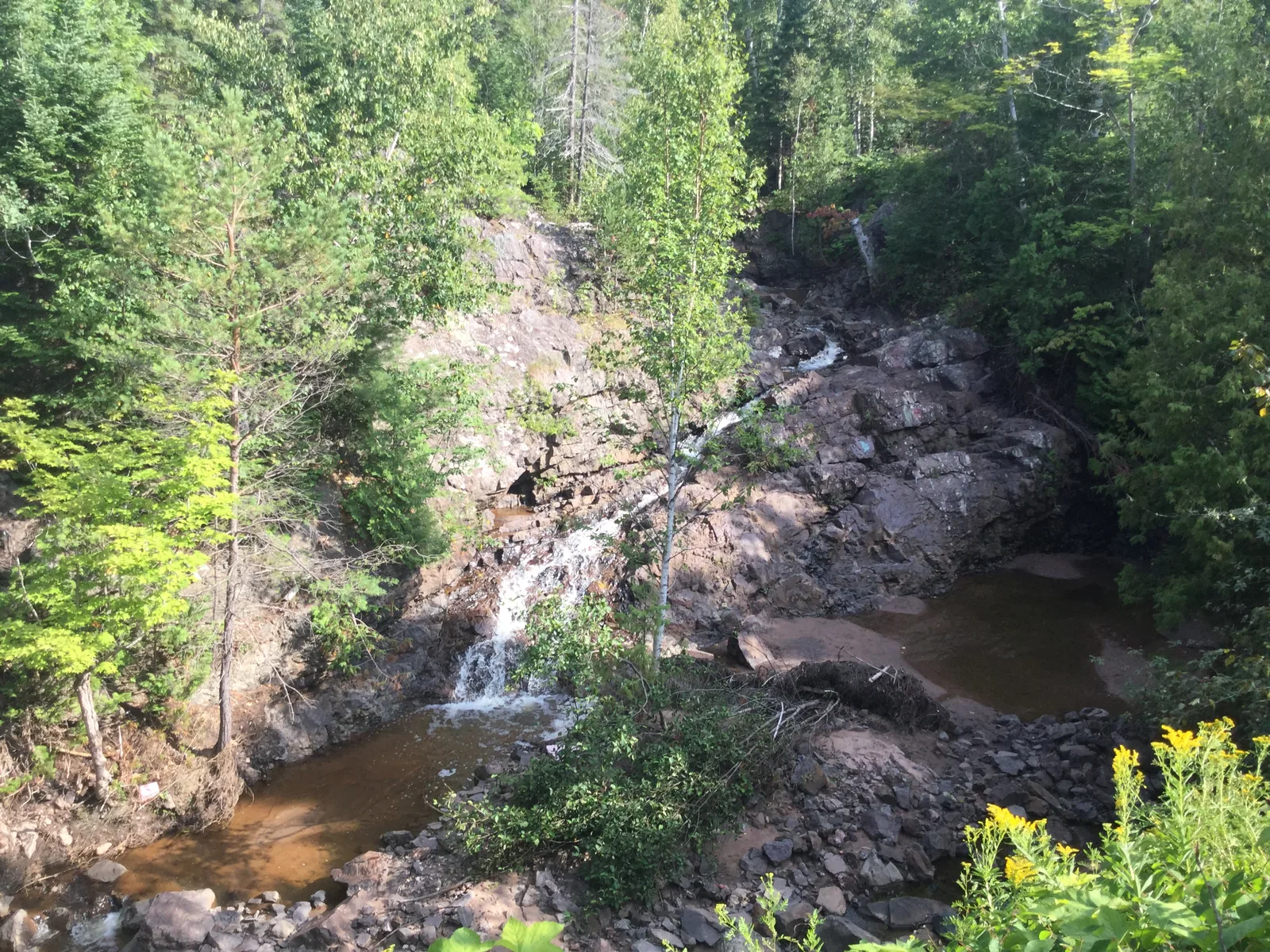 Huron Creek Falls trickling down a tall rocky cliff face surrounded by birch and pine forest.