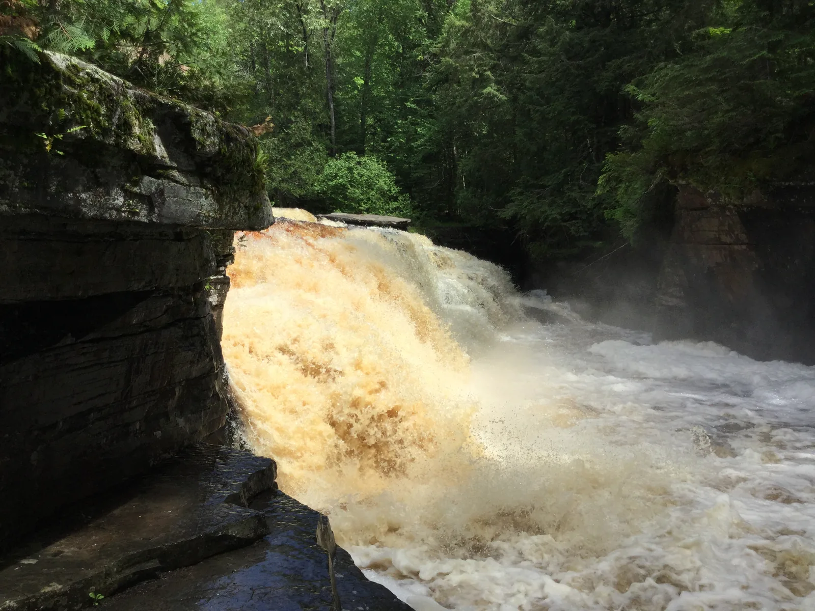 Lower Canyon Falls thundering with high spring flow over a dark basalt ledge on the Sturgeon River.