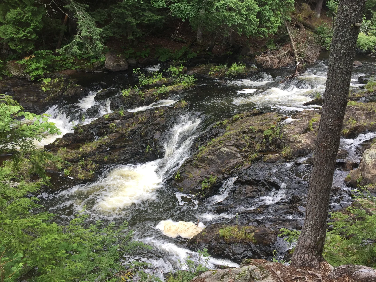 A long slide cascade at the upper Dead River Falls, whitewater running over dark tilted ledges in summer.