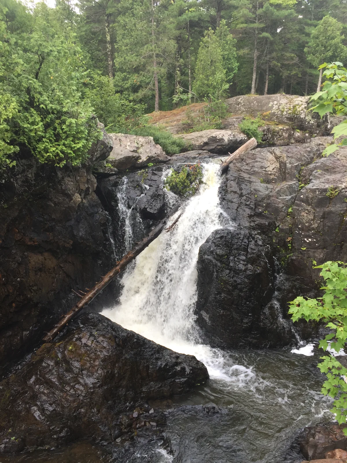 An upper drop of Dead River Falls plunging past a fallen log wedged across the rocks.